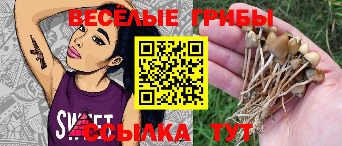 Галлюциногенные грибы мухоморы Егорьевск